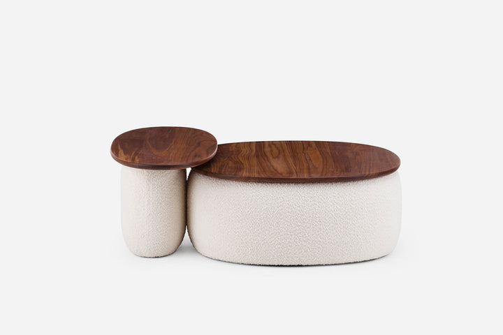 DANISH OILED WALNUT & ELLE 200 (MODEL 140M + 139S GRACIOSA)